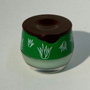 Honing Lipbalm Aloe Vera
