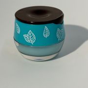Honing Lipbalm Mint