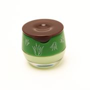 Little Honey Pot Lipbalm Aloe Vera