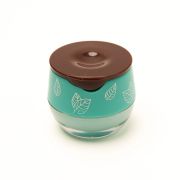 Little Honey Pot Lipbalm Mint