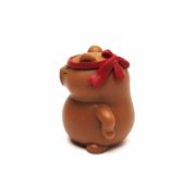 Capybara Japan editie vechter