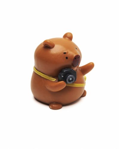 Capybara fun editie fotograaf