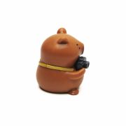 Capybara fun editie fotograaf