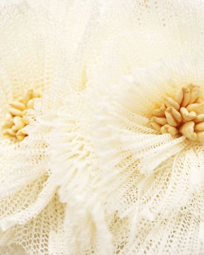 Elastiekje bloem XL wit