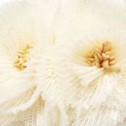 Elastiekje bloem XL wit