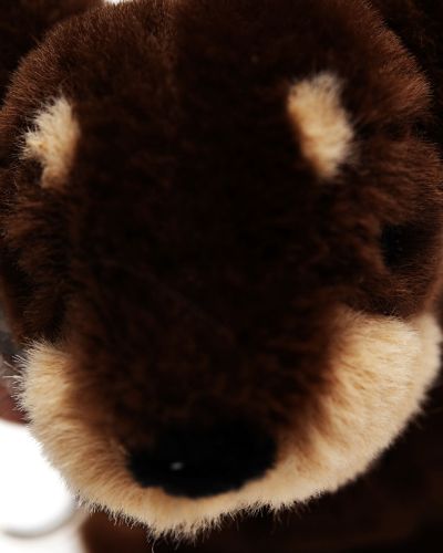 Sleutelhanger hondje